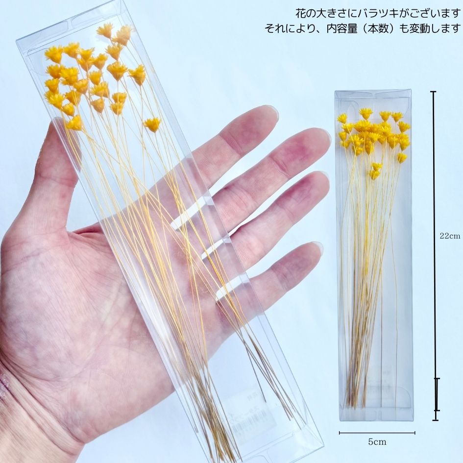 追加商品画像