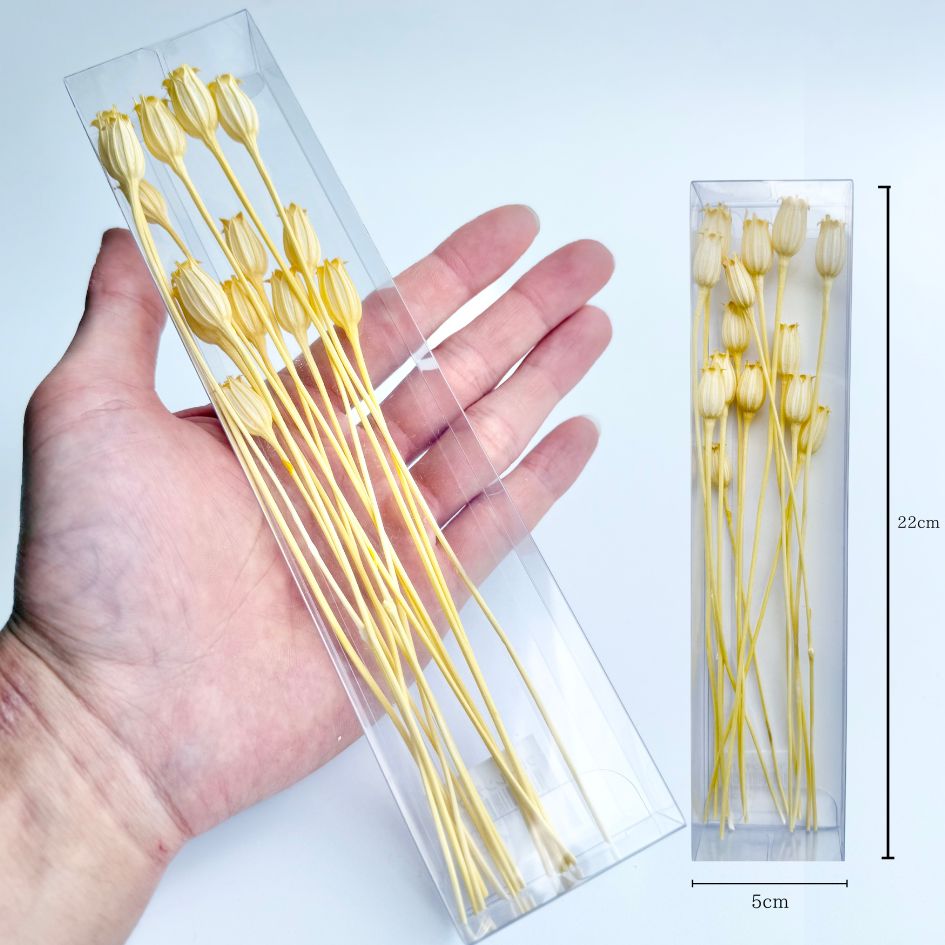追加商品画像