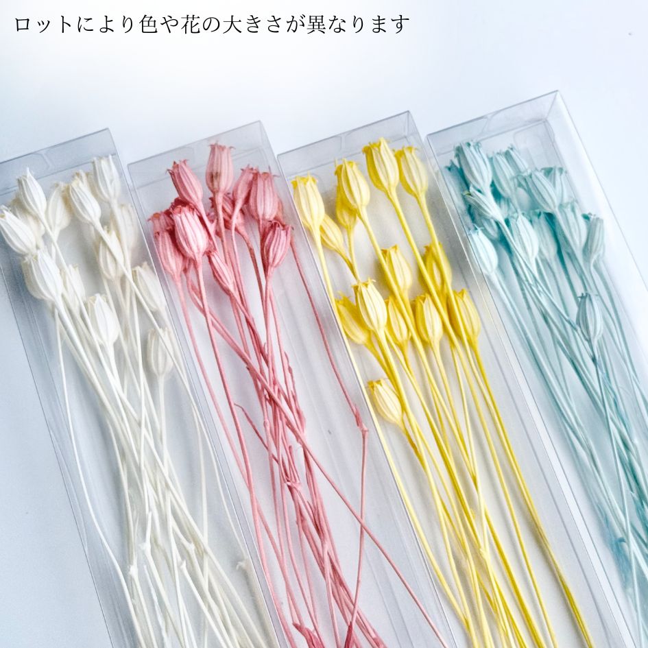 追加商品画像