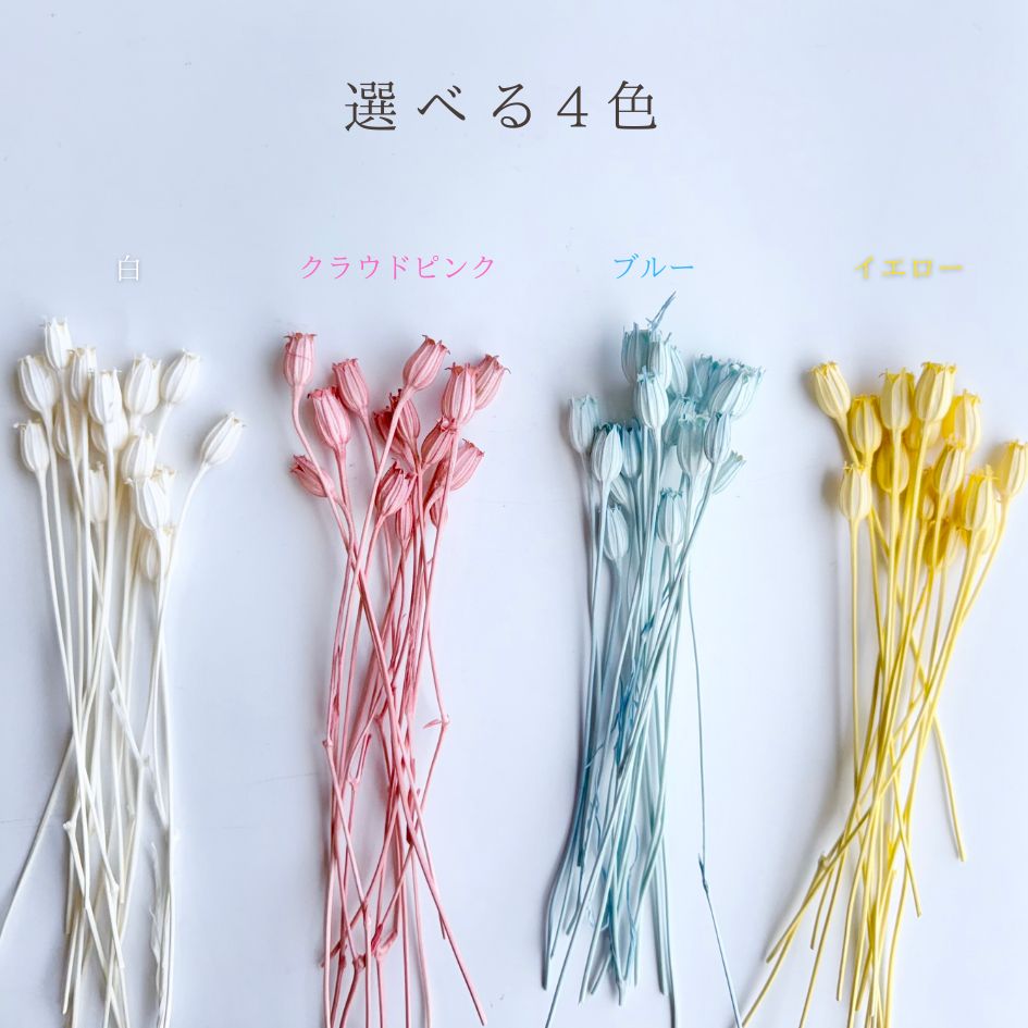 追加商品画像