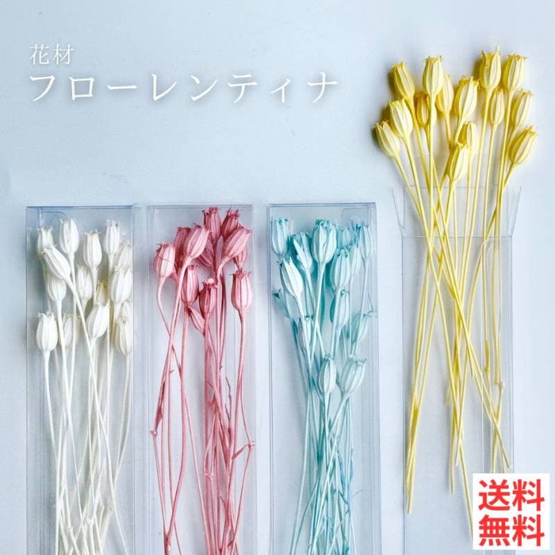 ハーバリウム 花材 フローレンティナ ブリザーブドフラワー 中身が見えるクリアケースに入っています 横浜ハーバリウム弐番店