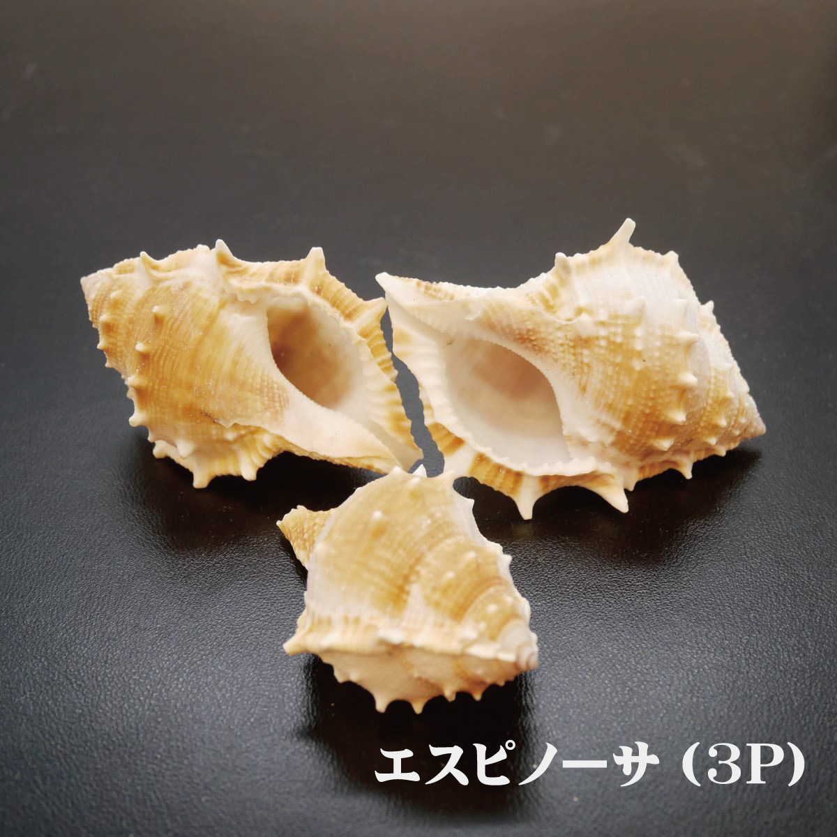 追加商品画像