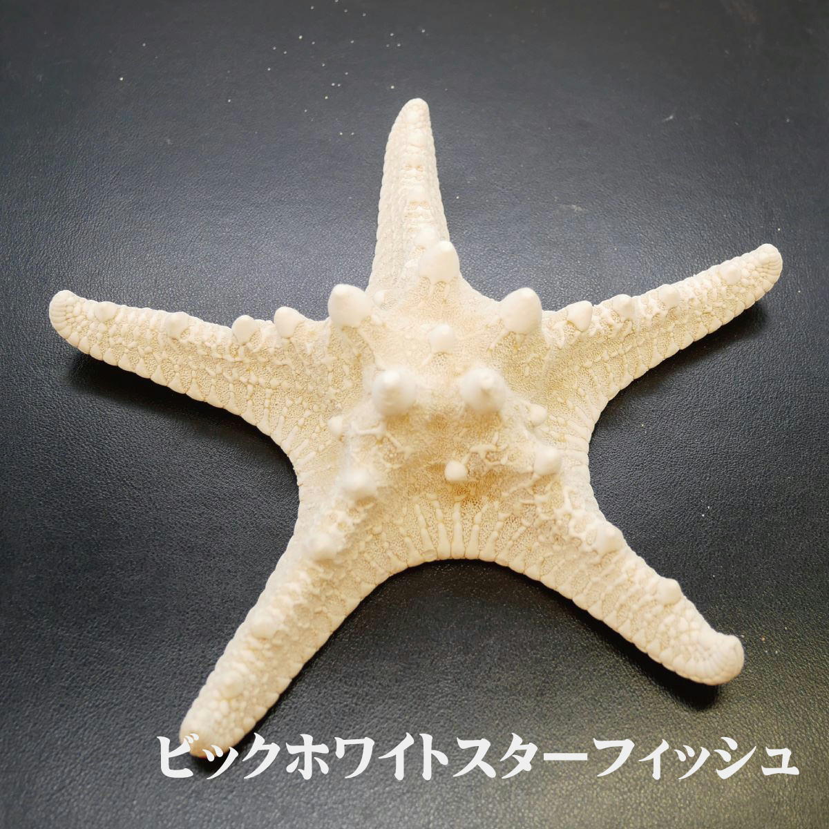 追加商品画像