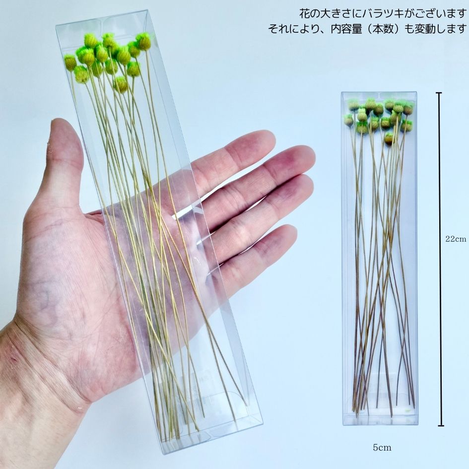 追加商品画像
