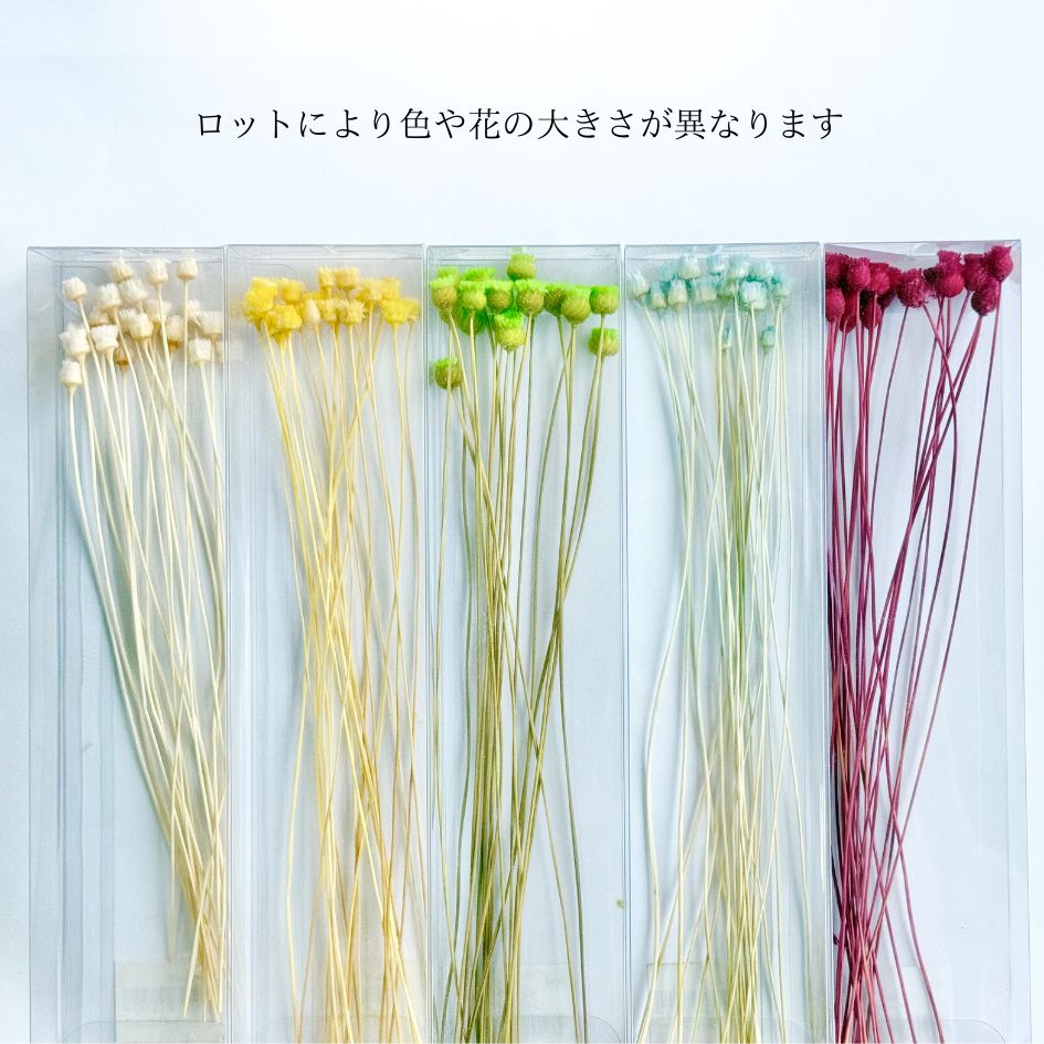 追加商品画像