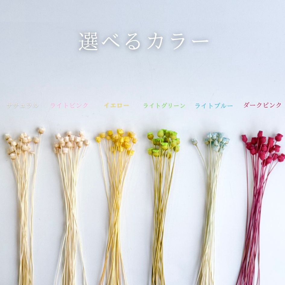 追加商品画像