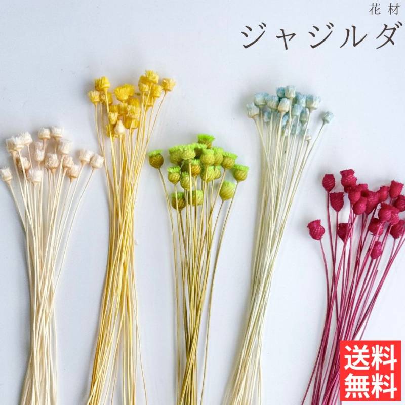 ハーバリウム 花材 ジャジルダ ブリザーブドフラワー 中身が見えるクリアケースに入っています 横浜ハーバリウム弐番店