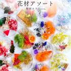 【特別カラー】ハーバリウム 花材 アソート セット ハロウィン クリスマス Xmas 和柄 正月 ドライフラワー プリザーブドフラワー おすすめ 花材セット 人気 詰め合わせ 小花 ハンドメイド 工作