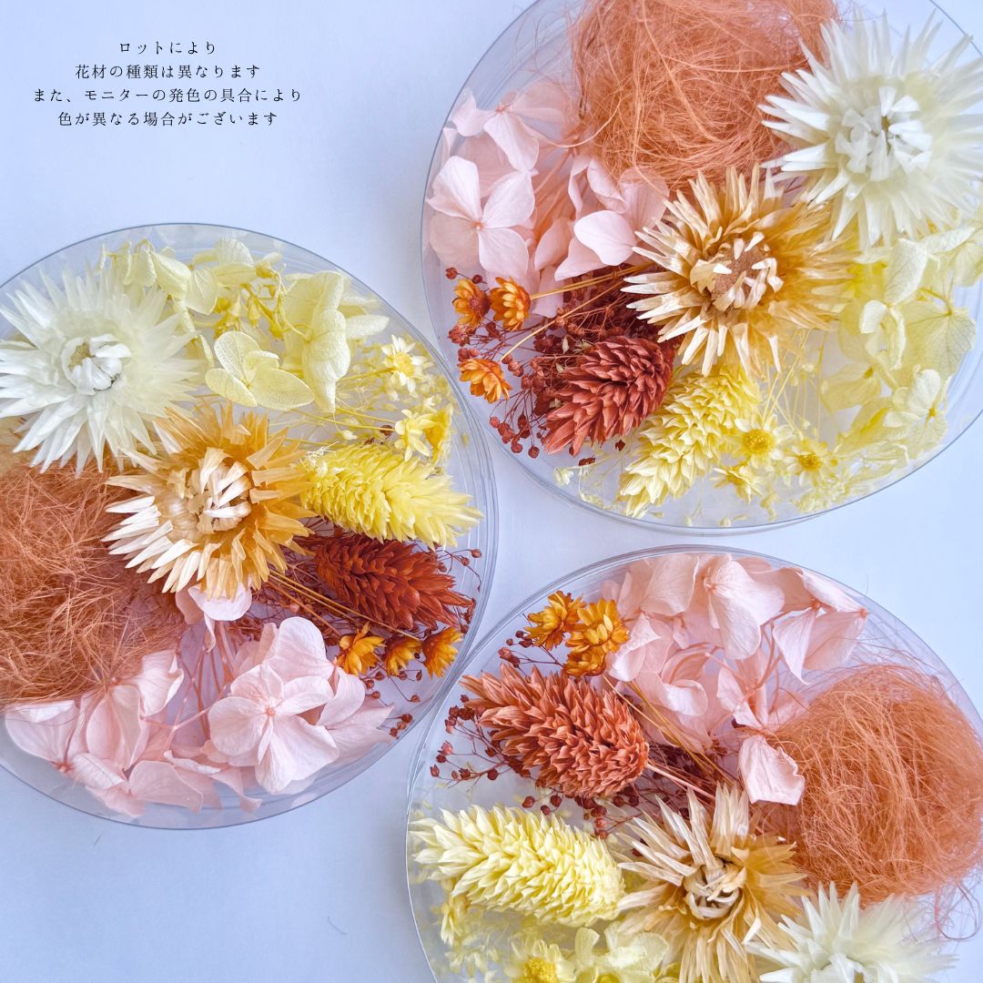 【通常カラー】ハーバリウム 花材 アソート 花材2色 ミックス ドライフラワー プリザーブドフラワー 花材セット 人気 詰め合わせ ハンドメイド 工作 おまかせ