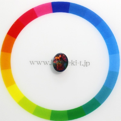 サイズをご確認ください♪