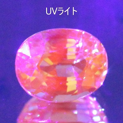 UVライトで蛍光反応♪