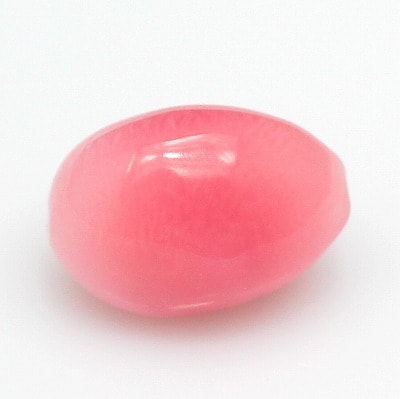 超特大 コンク貝、ピンク貝 (カリブ海産 特大サイズ 約30cm、2344g) 超