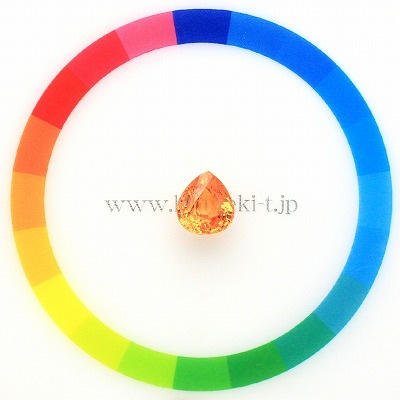 サイズをご確認ください♪