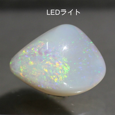 オパール化石 標本 シェルオパール 貝殻 天然石 大粒 レア ミネラル