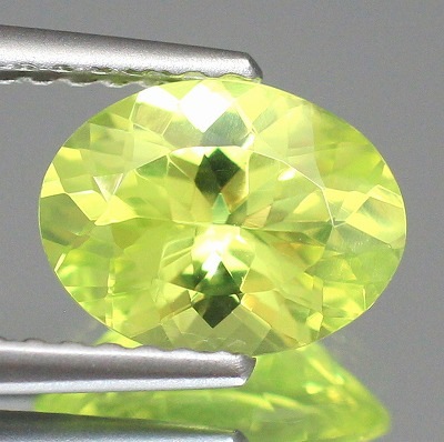 ネオンのような鮮やかさ♪