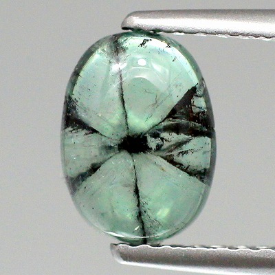 歯車のような模様♪