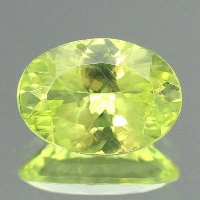 鮮やかなパロットイエロー♪