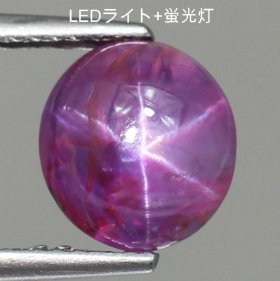 天然スターサファイア 3.52ct 【6条スター】◇コレマ品