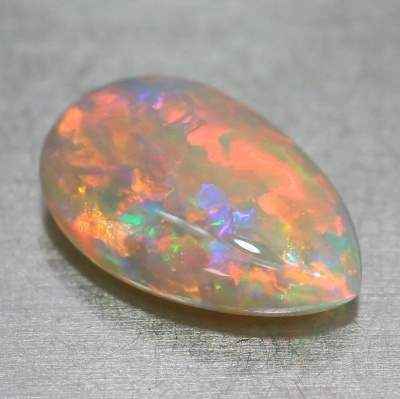 びっしりと広がります♪