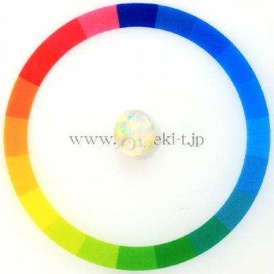 サイズをご確認ください♪