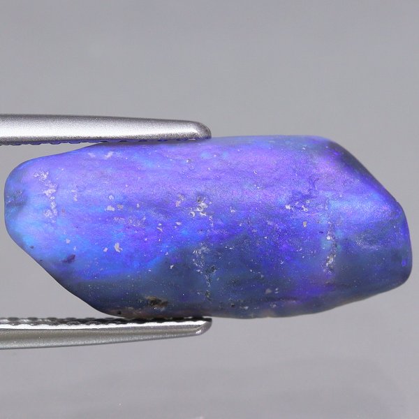 天然ブラックオパール 4.56ct 【木化石】 ラフ