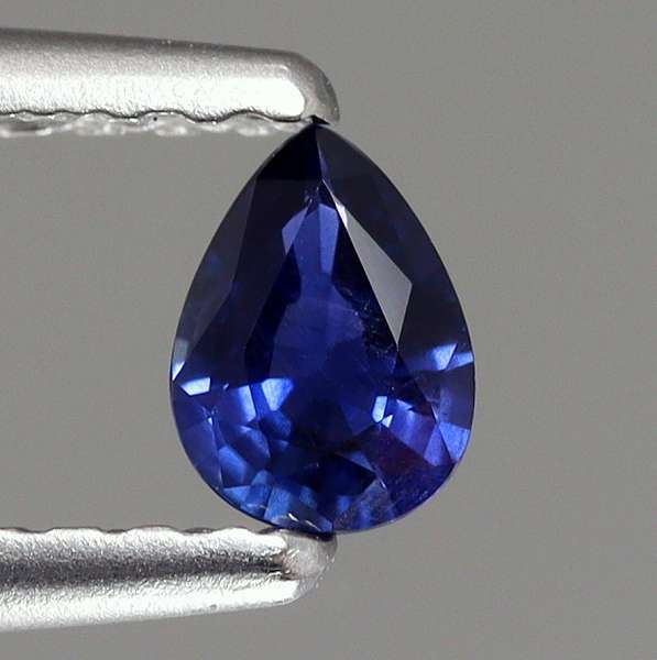 【高騰中】ブルマ PSA10 世界37枚 SH1-60 2016 2016 Bulma PSA 10 - カルドバ