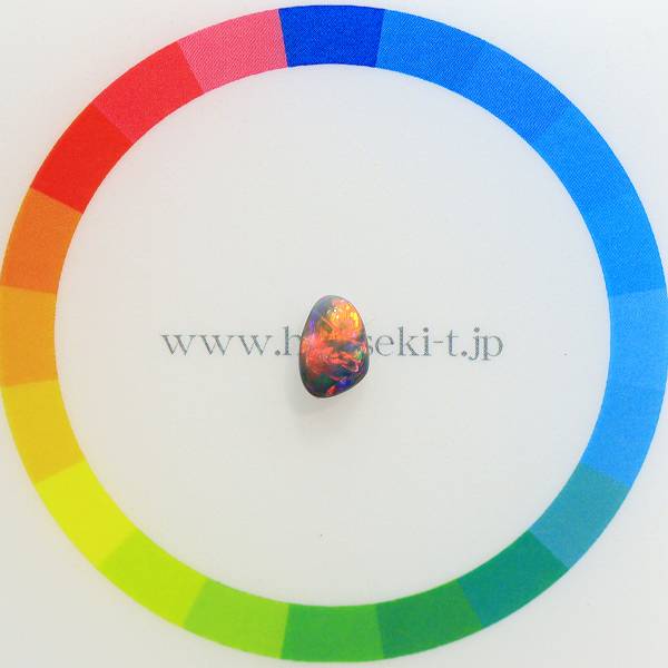 サイズをご確認ください♪