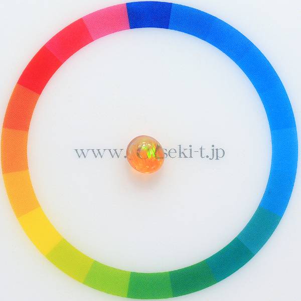 サイズをご確認ください♪