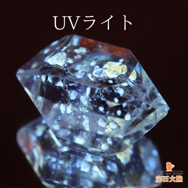 UVライト照射による蛍光反応♪