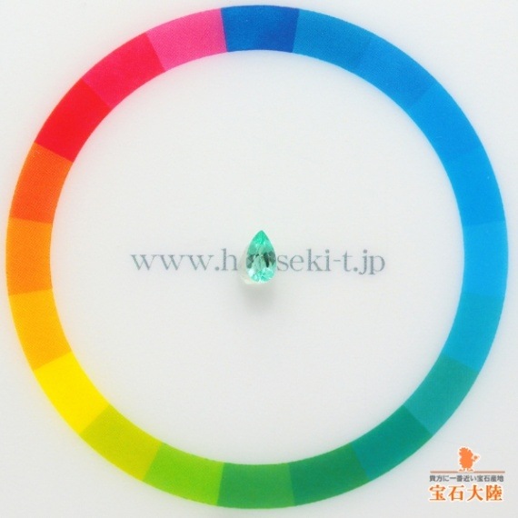 サイズをご確認ください♪