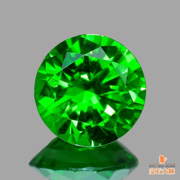 素晴らしいビビットグリーン♪