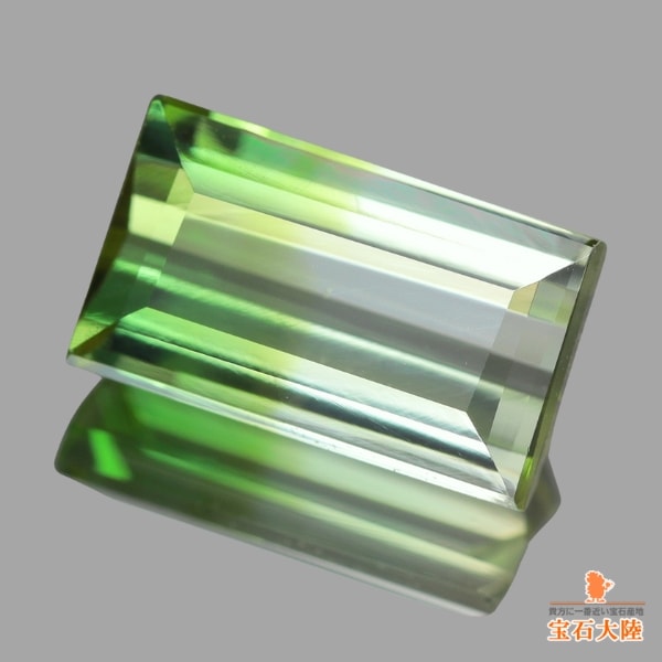 天然バイカラートルマリン 1.46ct 【グリーン&ホワイト】