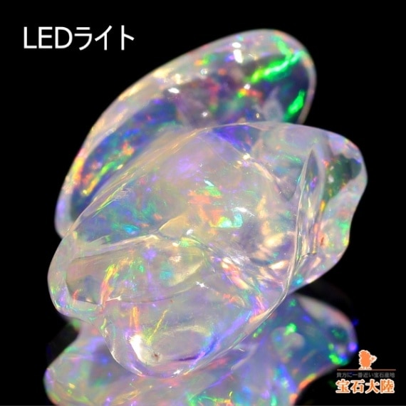 瑞々しいクリアボディ♪