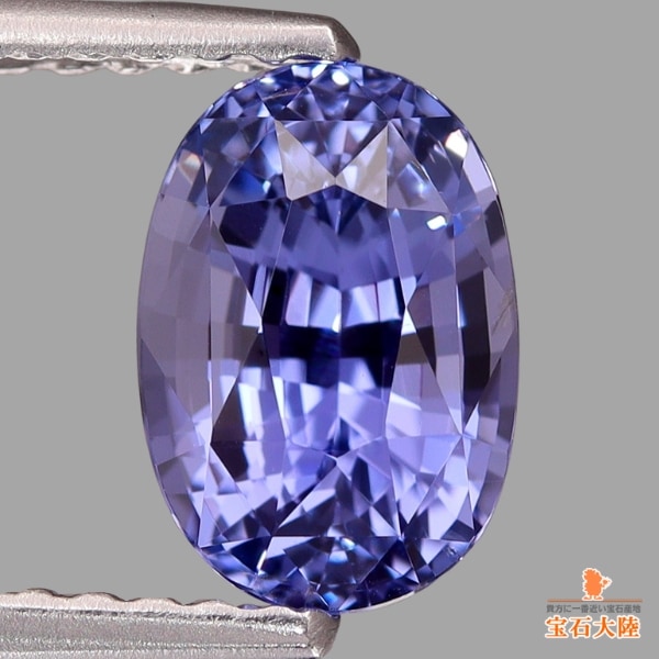 魅惑的なパープル♪