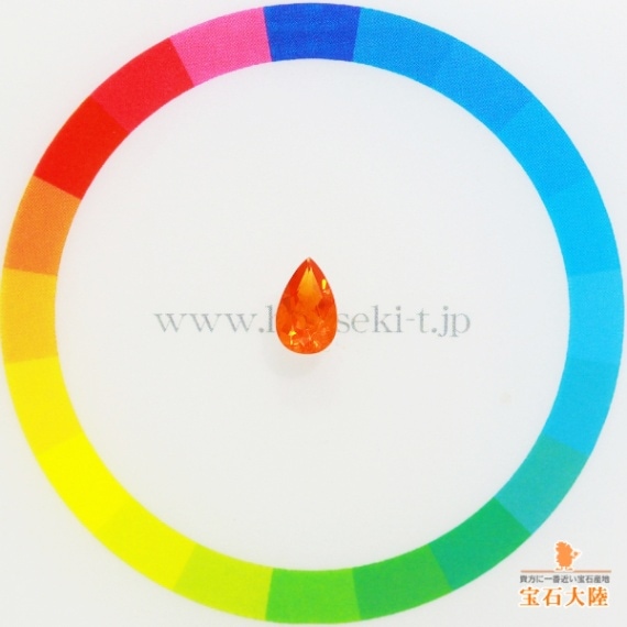 サイズをご確認ください♪