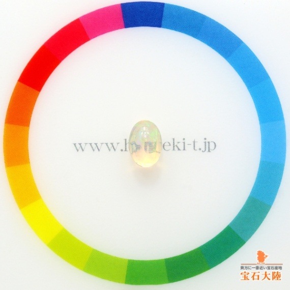 サイズをご確認ください♪