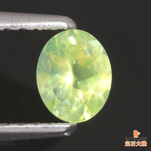 優しいミルキー♪