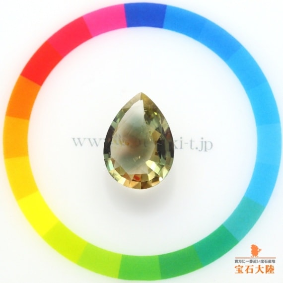 サイズをご確認ください♪