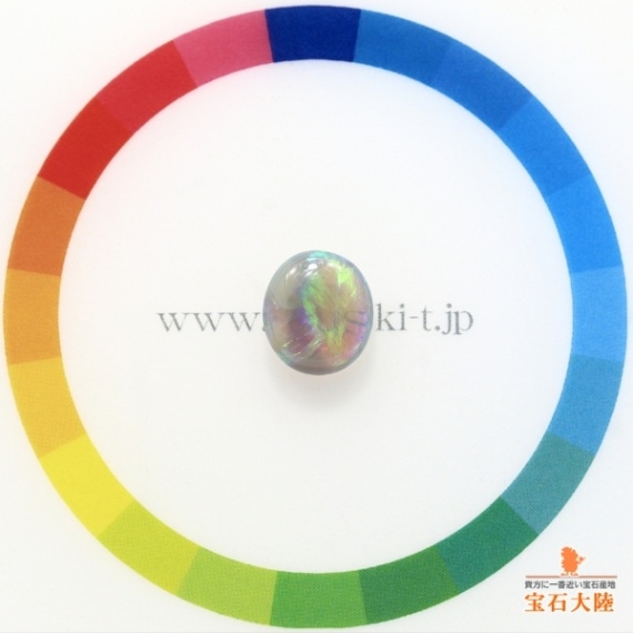 サイズをご確認ください♪