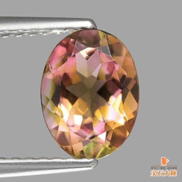 天然トルマリン 1.30ct 【パーティーカラー】 ナイジェリア 天然トルマリン 1.30ct 【パーティーカラー】 ナイジェリア