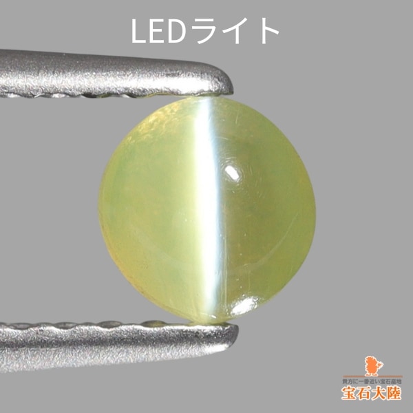 天然クリソベリルキャッツアイ 0.49ct 【シャトヤンシー】 スリランカ