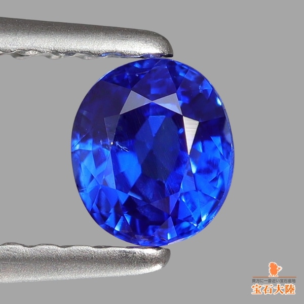 美彩色ブルー♪