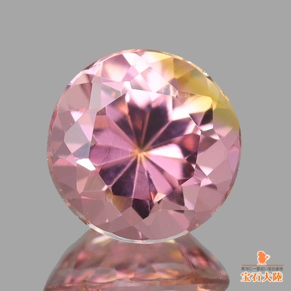 可愛らしい色合い♪