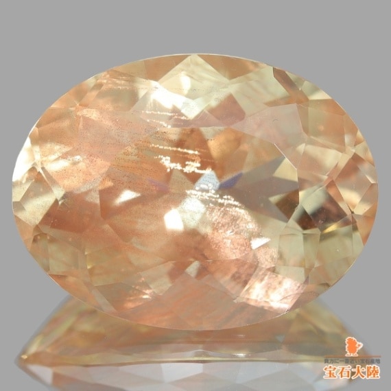 魅力的な大粒サイズ♪