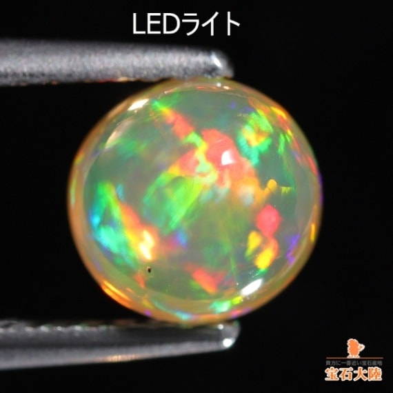 明るいオレンジの地色♪