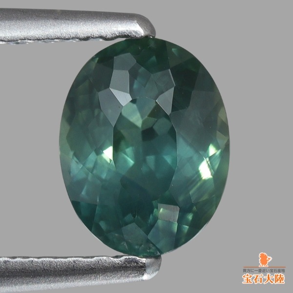 【板付け！】V573激レア貴重種！ミルメコディア アラータ 現地球8/12輸入 楽天市場】アウト ストラーダ モデナ 7/8Jx16 +39 5/100