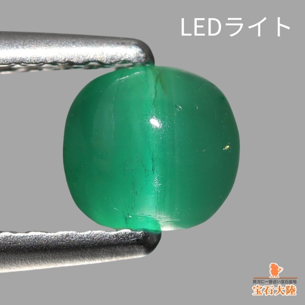 爽やかエメラルドグリーン♪