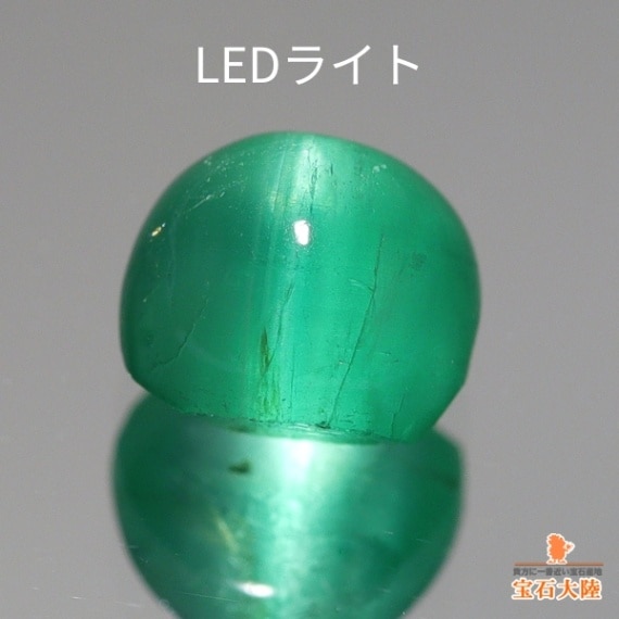 キャッツアイ♪