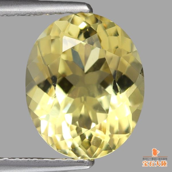 シャガルマガラ Shiseido Majolica Majorca Lash Expander Edge Meister Japan