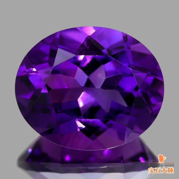 色乗りの良いパープル♪